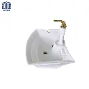 سنگ آرین ...webp