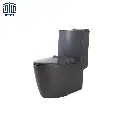 پلاتوس-فرنگی-گلسار-5.webp