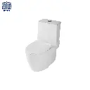 پلاتوس-فرنگی-گلسار-4.webp