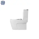 پلاتوس-فرنگی-گلسار-2.webp