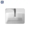 روکابینتی-فیتونیا-50-چینی-کرد-4.webp