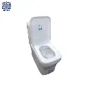 فرنگی-آرتا-چینی-کرد-2.webp