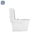 فرنگی-آویسا-چینی-کرد-3.webp