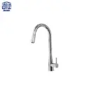 شاوری رادین راشین