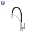 شیر شاوری مارتینا راشین