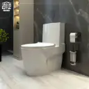 پلاتوس فرنگی گلسار